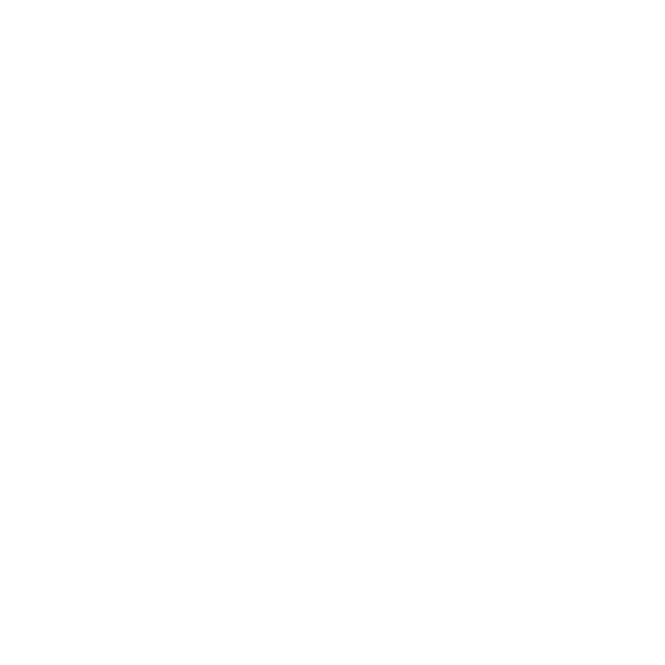 Bible and Gun